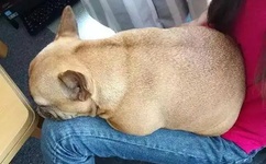 中文字幕无码高清晰